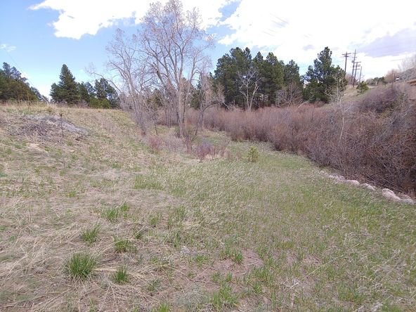 Land For Sale: 2290 Old Ranch Rd, Colorado Springs, CO 80908